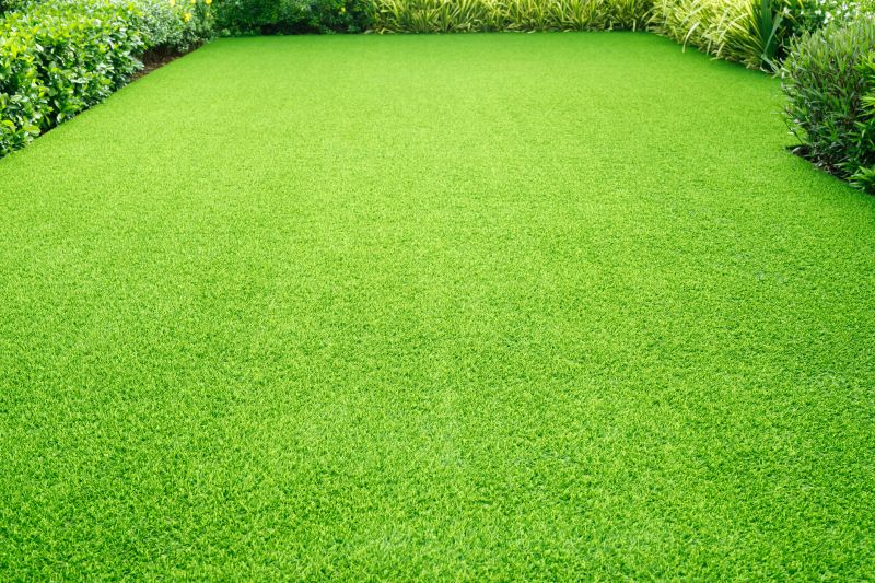 Lush Green Turf on Commercial Property