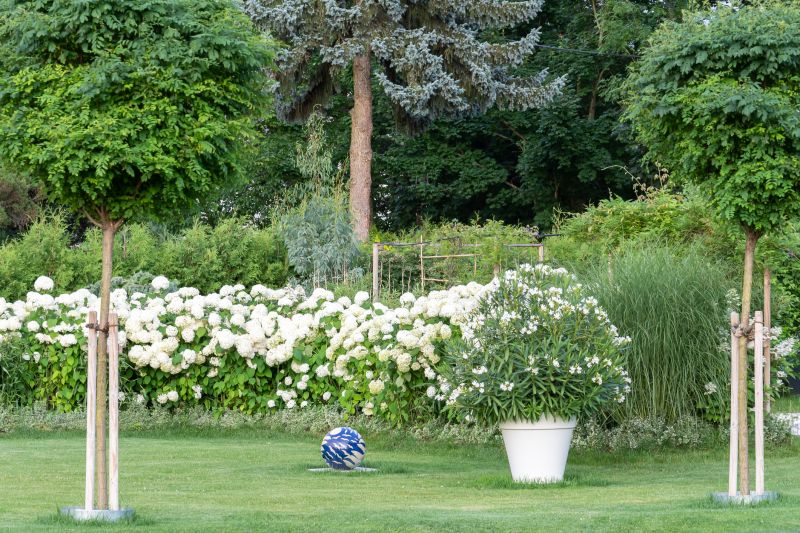 Stunning Garden Scene